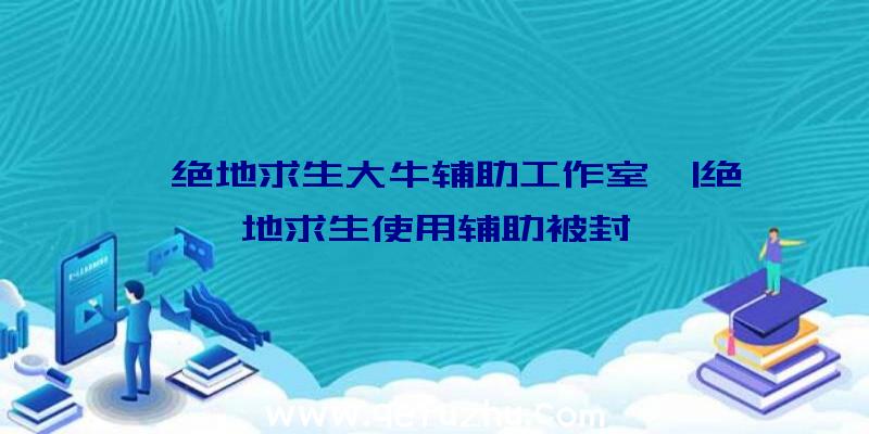 「绝地求生大牛辅助工作室」|绝地求生使用辅助被封